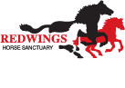 Redwings logo